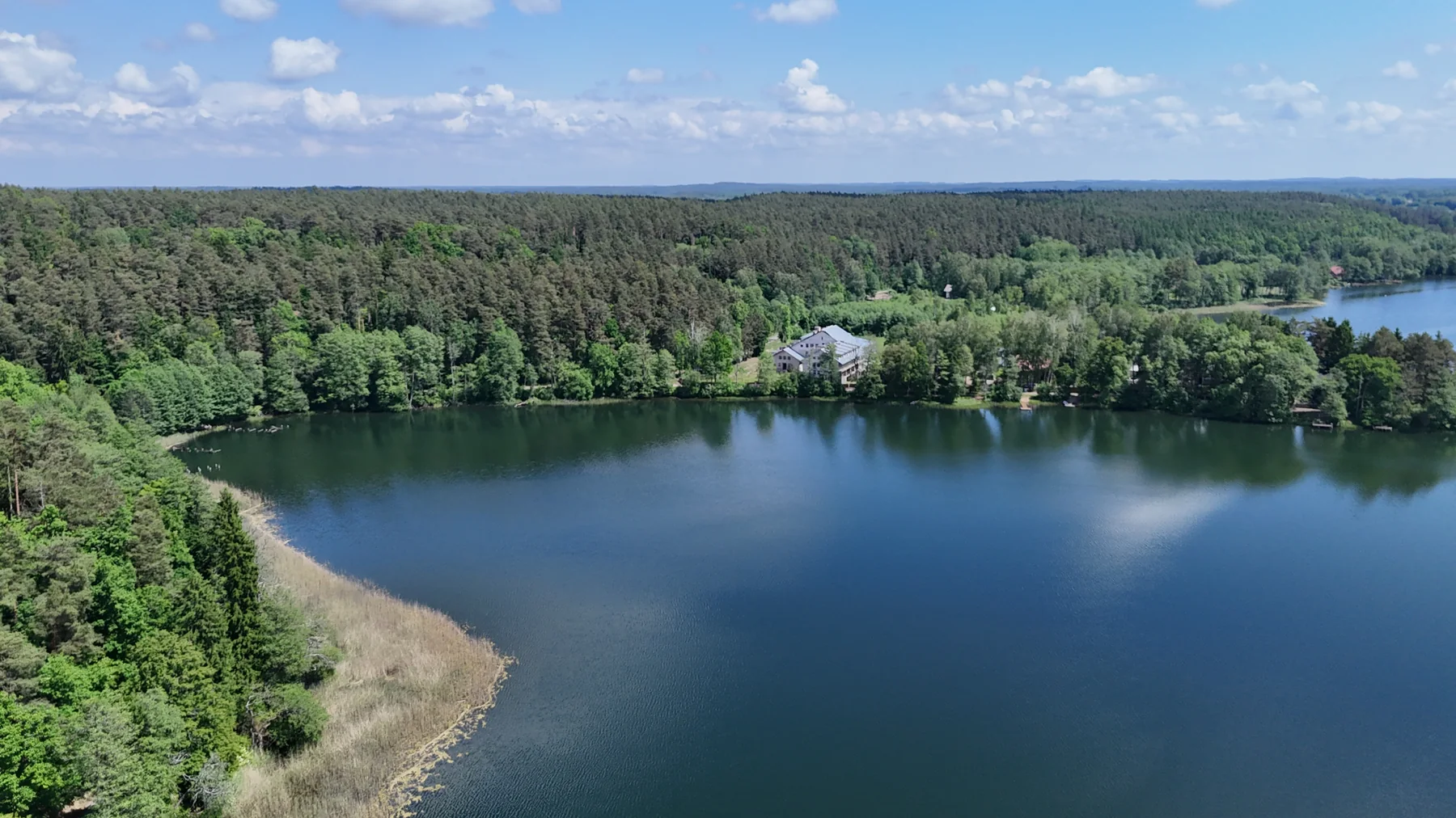 Leśna zatoka nad jeziorem Kalwa